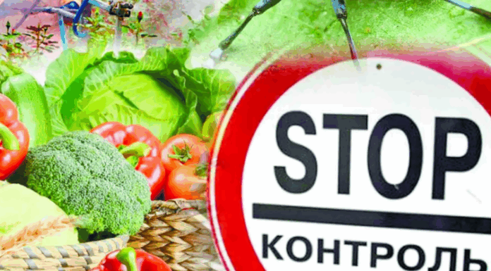 Выявлены нарушения законодательства при ввозе подкарантинной продукции