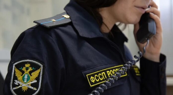 Жители Алтайского края смогут получить консультации по алиментам по телефону горячей линии