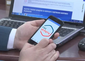 Жители Алтайского края автоматически получат налоговые уведомления на «Госуслугах»
